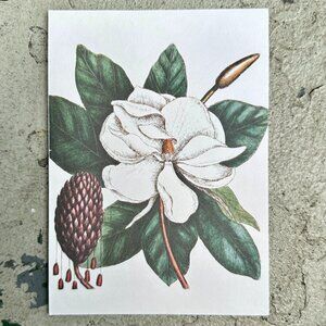 The Laurel Tree of Carolina Blank Card